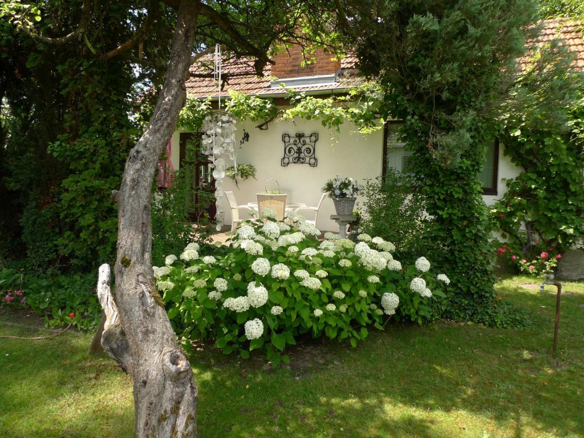 Gemuetliches Gaestehaus Berlin Bohnsdorf, Naehe Flughafen Schoenefeld Buitenkant foto